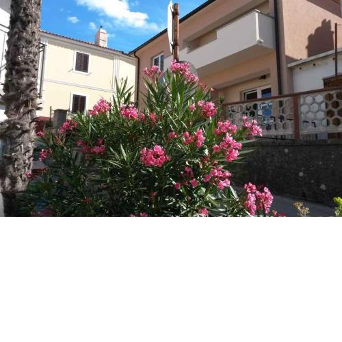Apartment in Vrbnik/Insel Krk 36872