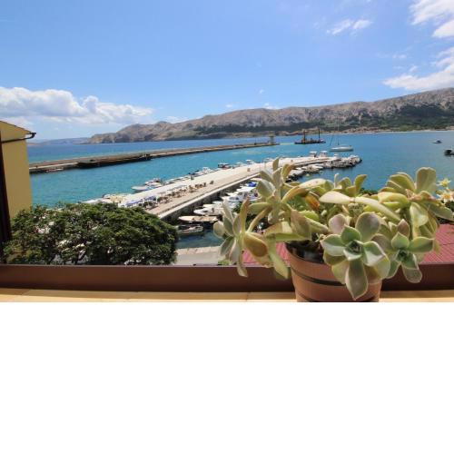Apartment Kalcic