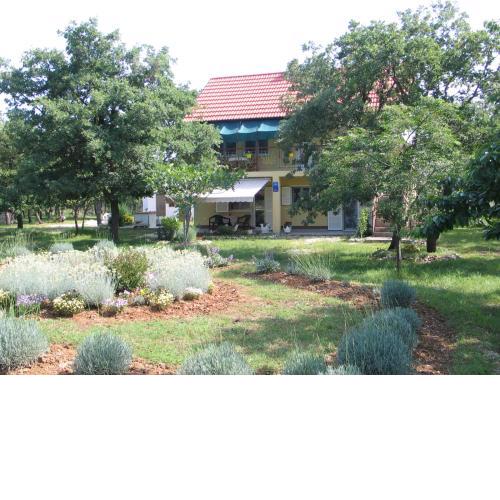 Apartment Kovacic Jurlina