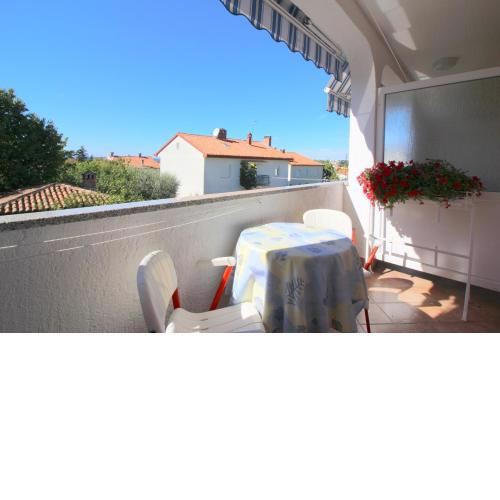 Apartment Leticija near city center