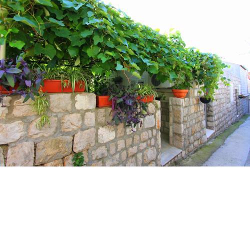 Apartment Lopud 17200a