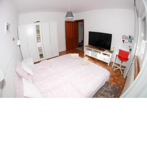 Apartment Magnolija - free parking
