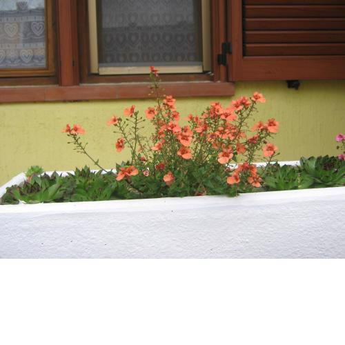 Apartment Meridiana
