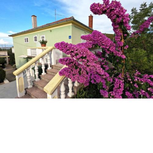Apartment Mili