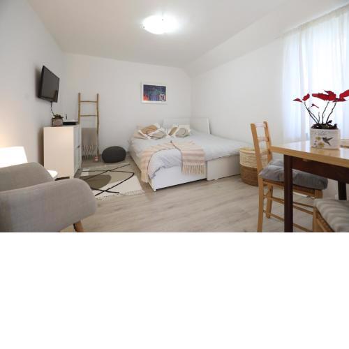 Apartment Mir