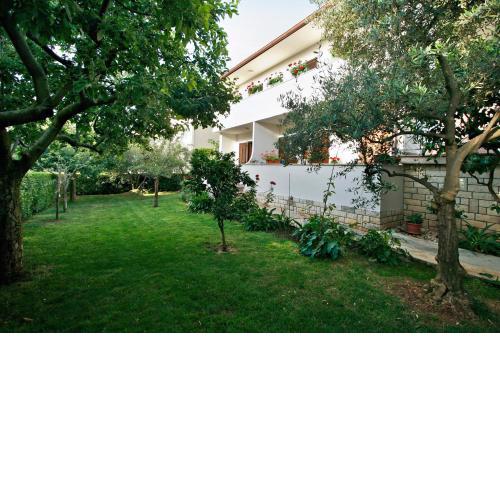 Apartment Nerina