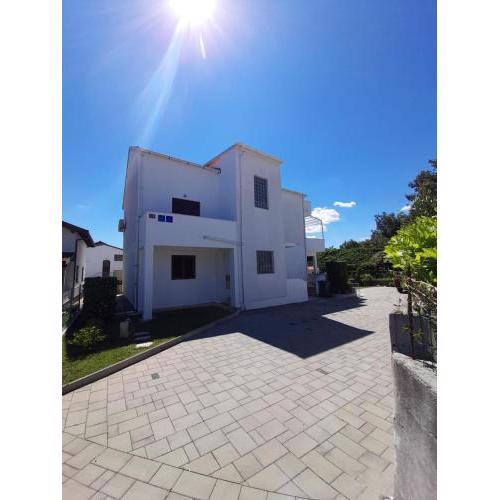 Apartment Niva