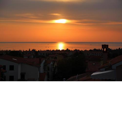 Apartment Panorama