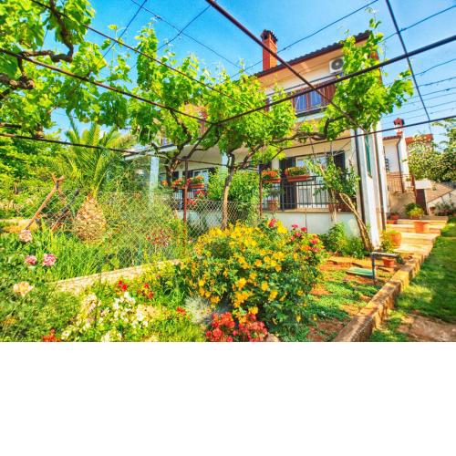 Apartment Patricija 1208