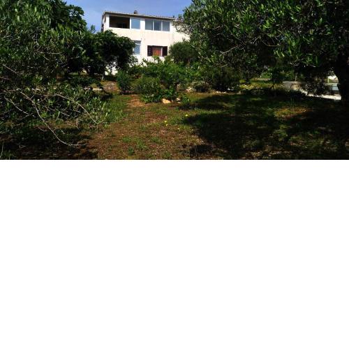 Apartment Prvic Sepurine II