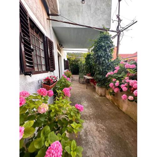 Apartment Renata