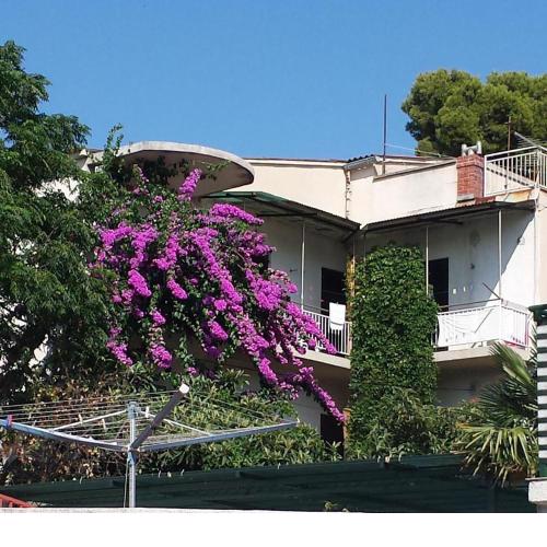 Apartment Stegic 1234