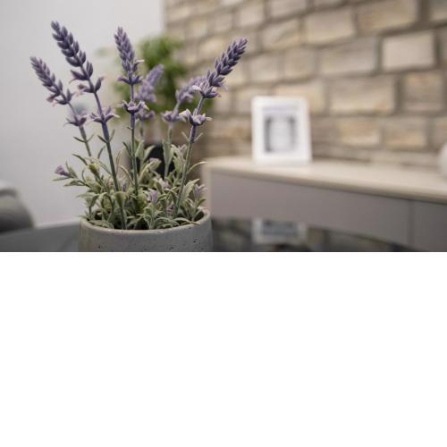 Apartment STELA - Private terrace & Parking