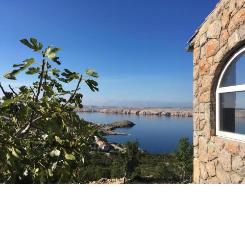 Apartment Stinica 31b
