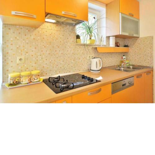 Apartment Vicko