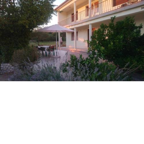 Apartment Vidas