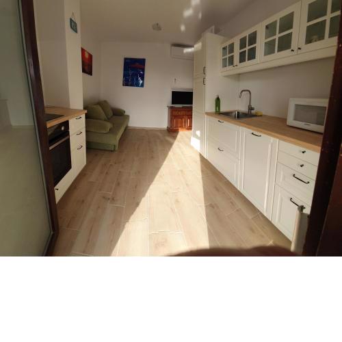 Apartment Viktorija