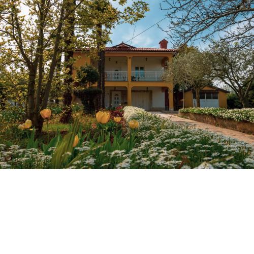 Apartment Villa Olga