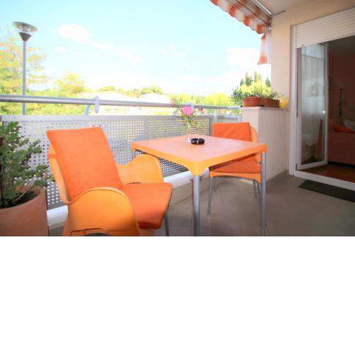 Apartment Vojka in city center