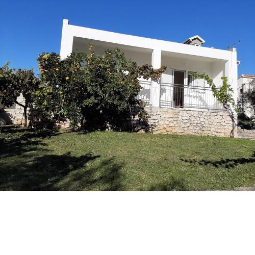 Apartment Zivkovic