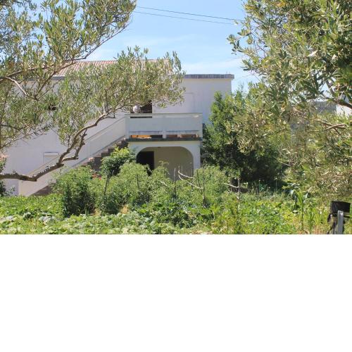Apartments 501 - spacious and bright apartment on island of Rab