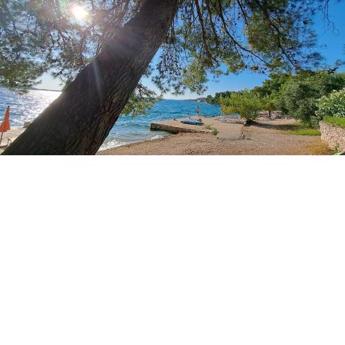 Apartments Ana Žaborić, 50 m od šljunčane plaže