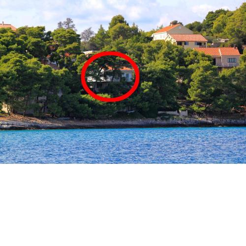 Apartments and rooms by the sea Lumbarda, Korcula - 9272