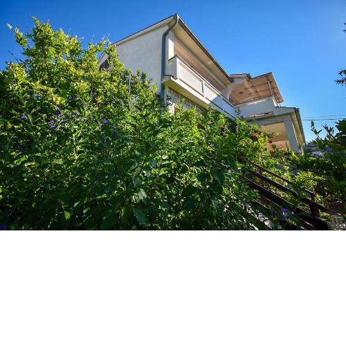 Apartments and Rooms Frane