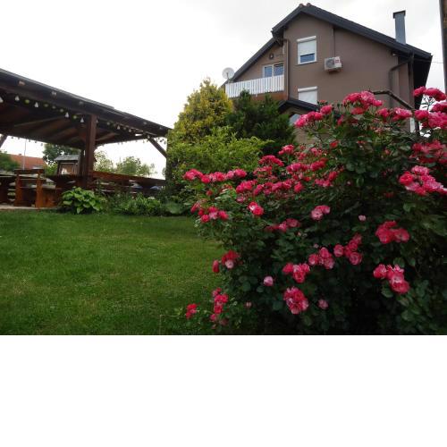 Apartments and Rooms Kristina