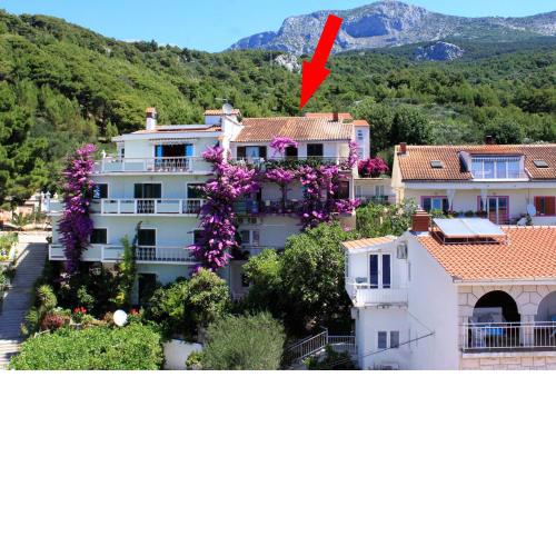 Apartments and rooms with parking space Podgora, Makarska - 6790