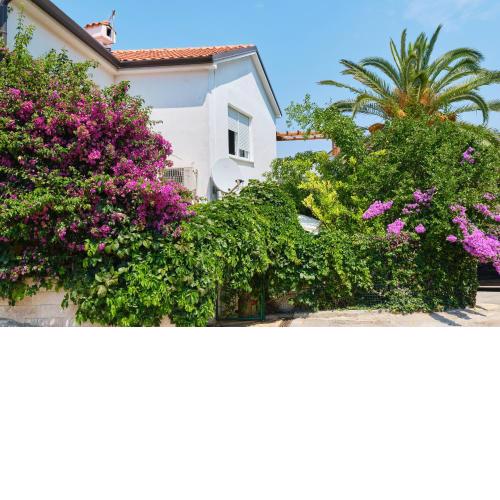 Apartments Antares
