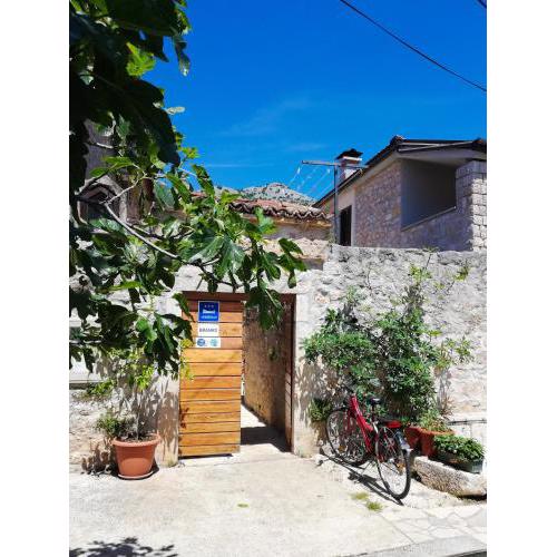 Apartments Branko