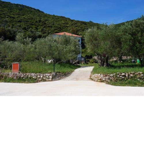 Apartments by the sea Luka, Dugi otok - 8151