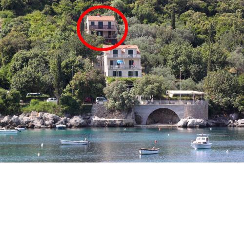 Apartments by the sea Molunat, Dubrovnik - 8550