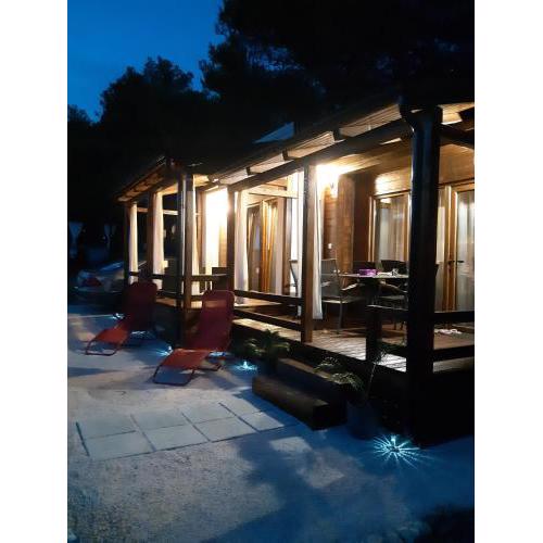 Apartments by the sea Pirovac, Sibenik - 16095