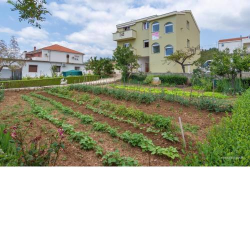 Apartments by the sea Posedarje, Novigrad - 6190