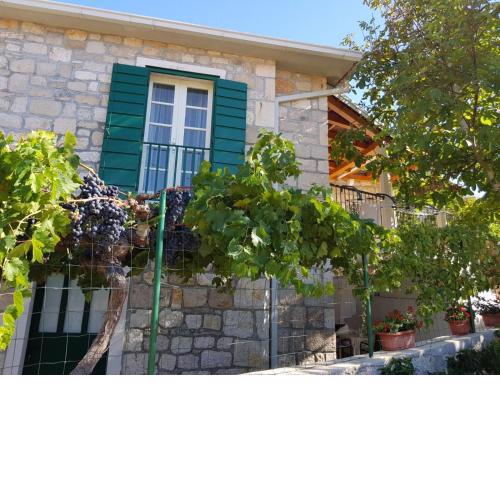 Apartments by the sea Postira, Brac - 14822