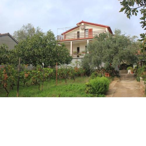 Apartments by the sea Preko, Ugljan - 8522