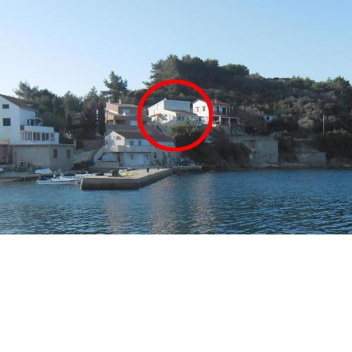 Apartments by the sea Savar, Dugi otok - 11540