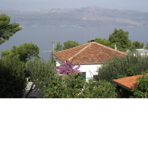 Apartments by the sea Splitska, Brac - 2865