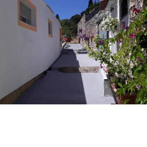 Apartments by the sea Tisno, Murter - 4298
