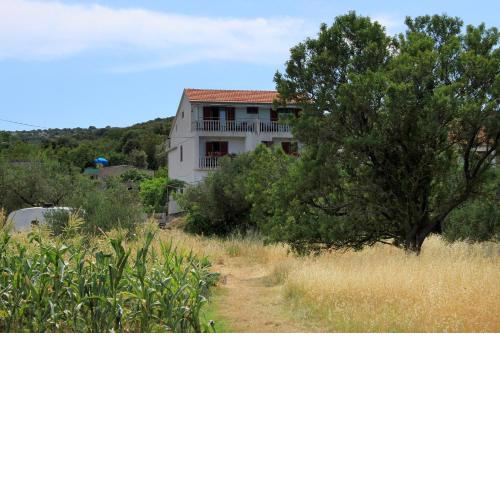 Apartments by the sea Tkon, Pasman - 8218