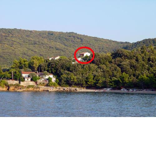 Apartments by the sea Valun, Cres - 386