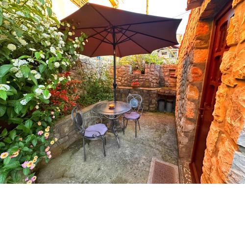 Apartments Cvita