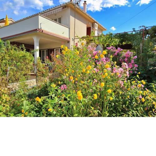Apartments Dragica