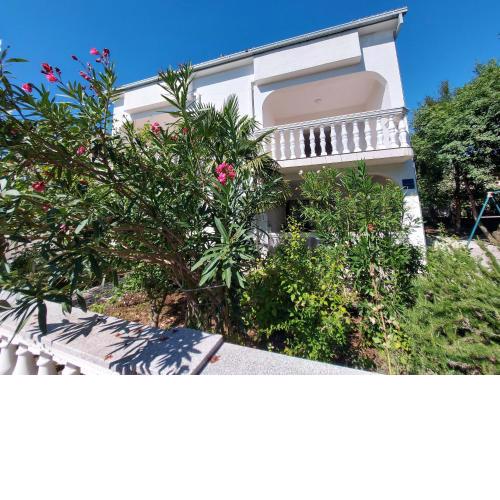 Apartments Franjo