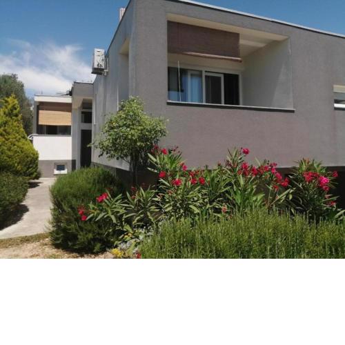 Apartments Fuzi