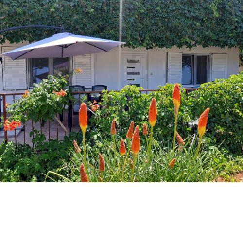 Apartments Iris