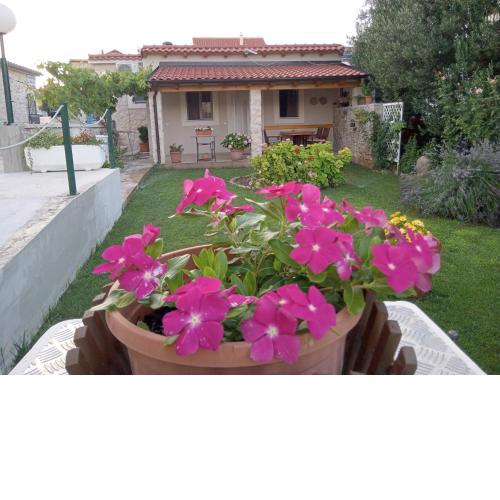 Apartments Janjac