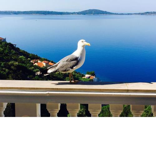 Apartments Jasmina